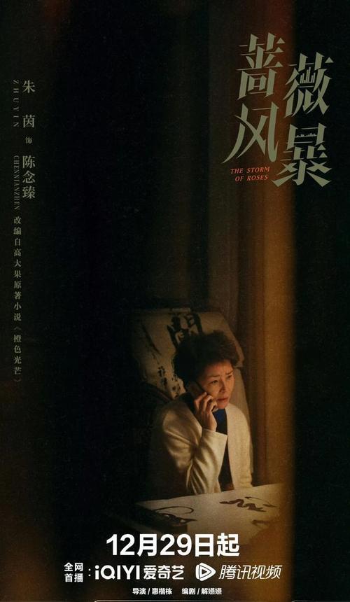 蔷薇风暴：双面爱恨，商战情仇