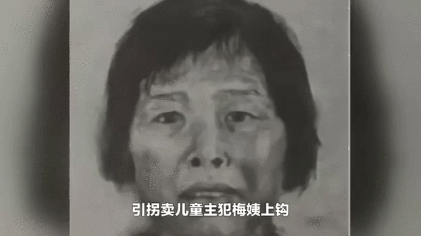 红姨洪金凤被抓现行,拐卖儿童罪行败露 红姨洪金凤被抓现行,拐卖儿童罪行败露