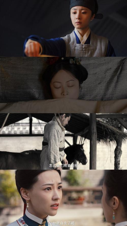 锦囊妙录：悬疑探案剧黑马，罗疏齐梦麟情案交织