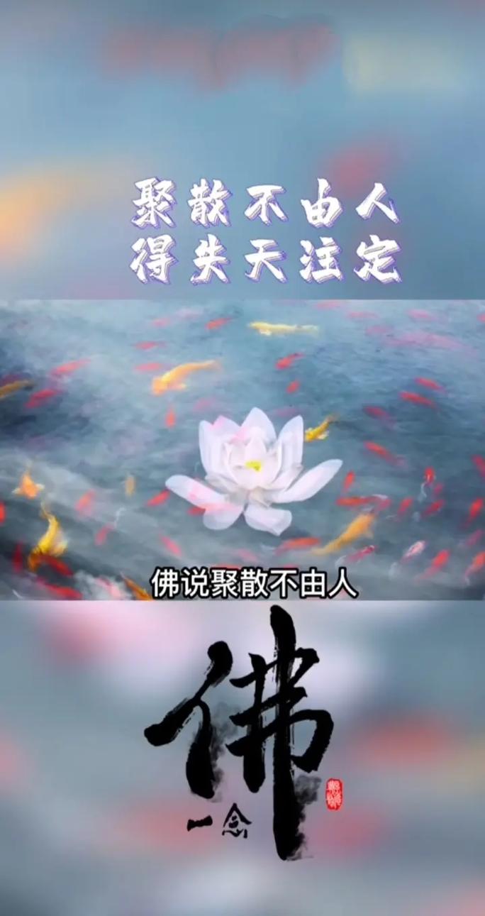 无常人生路,许七安定义自我 无常人生路,许七安定义自我
