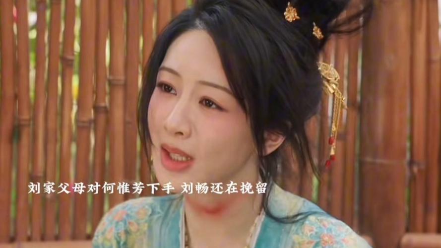 阴毒变情缘：刘畅与何牡丹的穿越较量
