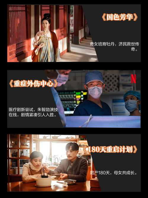 2025暑期剧市场遇冷,口碑下滑,行业需反思创作! 2025暑期剧市场遇冷,口碑下滑,行业需反思创作!