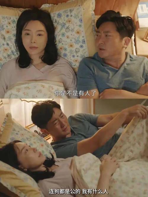 驻站轻喜剧：郭京飞陈数演绎人生百态