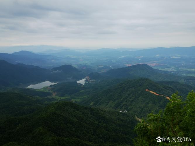 繁花团云南行:明星跨龄旅行坑,引发人生思考 繁花团云南行:明星跨龄旅行坑,引发人生思考